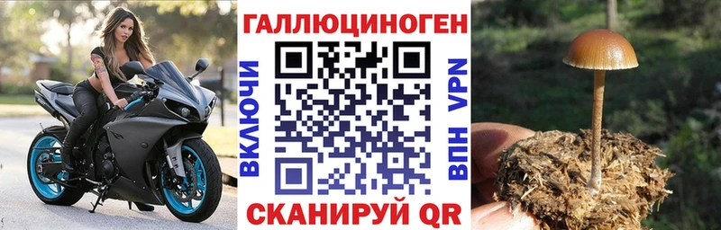 Галлюциногенные грибы GOLDEN TEACHER даркнет сайт Кольчугино
